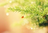 抖音最火的经典语录(抖音文案能写名人名言吗)