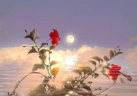 短句文案爱情(2021恋爱的走心的文案句子)