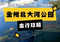 濮阳交通网：便捷查询交通违章与公交信息