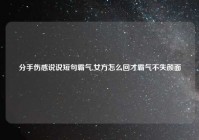 分手伤感说说短句霸气,女方怎么回才霸气不失颜面