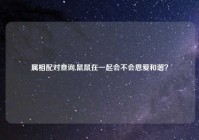 属相配对查询,鼠鼠在一起会不会恩爱和谐？