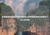 伤感情感语录暖心短句,形容指人的感情真诚恳切而感动了别人的词语