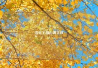 洛克王国山姆大叔