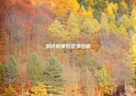 倒计时里的浪漫回响