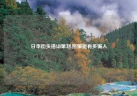 日本街头搭讪策划,照骗能有多骗人