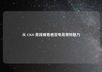 从 CSGO 竞技观看感受电竞独特魅力