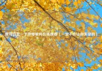 我可以尝一下你那里吗在线观看（一定不会让你失望的）