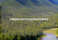 夫妻相濡以沫的句子,相伴相依的乐趣何在