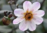 心情说说短句朋友圈(发朋友圈的好心情句子)