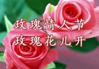 还在单身？玫瑰情人交友网试试，帮你找到TA！