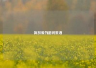 沉醉爱的唇间蜜语