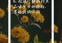 心情好情感说说：感受生活的美好与爱，心情如诗