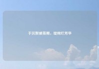 于沉默破茧期，绽绚烂芳华