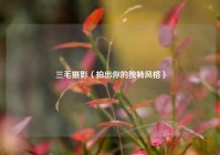 三毛摄影（拍出你的独特风格）