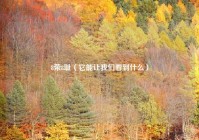 8荣8耻（它能让我们看到什么）