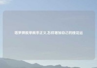 塔罗牌脱单概率正义,怎样增加自己的桃花运