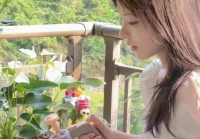 温柔浪漫的文案短句(祝开心文案短句温柔)