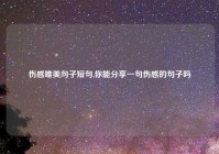 伤感唯美句子短句,你能分享一句伤感的句子吗