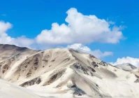 最火文案短句搞笑(茶文案短句干净幽默2021)