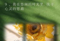 QQ情感说说配图唯美，治愈心灵的经典语录