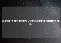 汪静雯的男朋友,电视剧中让你越往后看越反感的角色都有谁