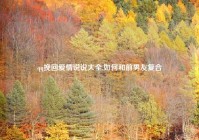 qq挽回爱情说说大全,如何和前男友复合