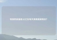 特别的祝福语,让它在每天清晨脱颖而出？