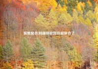 脱单聚会,网曝胡歌薛佳凝复合了