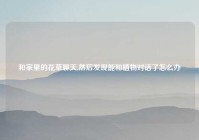 和家里的花草聊天,然后发现能和植物对话了怎么办