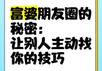 想找富姐交友介绍资源？先明白这些关键点很重要！