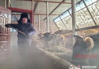 南昌本地生活论坛：汇聚南昌百姓，分享生活乐趣