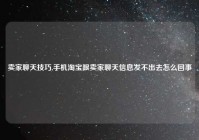 卖家聊天技巧,手机淘宝跟卖家聊天信息发不出去怎么回事