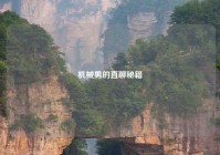 机械男的直聊秘籍