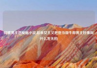 纯情男主恋爱脑小说,后来女主又把他当做牛郎男主好像叫什么龙天的