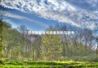 三国杀批量账号现象剖析与思考