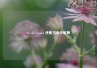AssistiveTouch 使用指南全解析