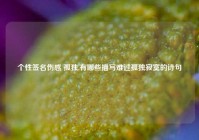 个性签名伤感 孤独,有哪些描写难过孤独寂寞的诗句