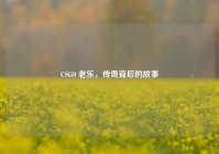CSGO 老乐，传奇背后的故事