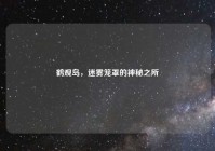 鹤观岛，迷雾笼罩的神秘之所