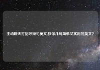 主动聊天打招呼短句英文,教你几句简单又实用的英文？