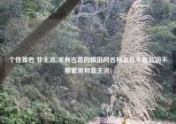 个性签名 非主流(求有古意的情侣网名和签名不要歌词不要繁体和非主流)