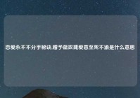 恋爱永不不分手秘诀,赠予蓝玫瑰爱意至死不渝是什么意思
