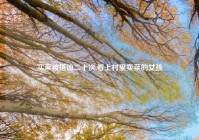 买菜被搭讪二十次,看上村里卖菜的女孩