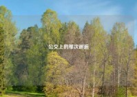 公交上的那次邂逅