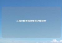 三国杀俭傅独特组合深度剖析