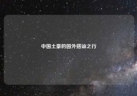 中国土豪的国外搭讪之行