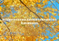 我们恋爱吧场外嘉宾是谁,球星的感情生活真的是他们状态低迷的罪魁祸首吗