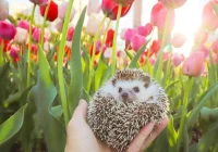 文案短句高质量(520文案短句仪式感高质量)