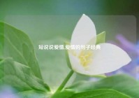 短说说爱情,爱情的句子经典