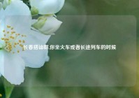 长春搭讪群,你坐火车或者长途列车的时候
